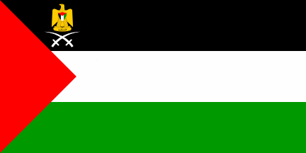 Antigua bandera de Territorios Palestinos