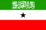 Bandera actual de Somalilandia