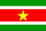 Bandera de Suriname Bandera actual de Suriname