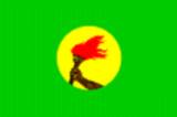 Bandera de Zaire Bandera actual de Zaire